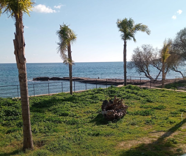 17-02-2024-Memi_Beach-Charikopio-Memi_Beach