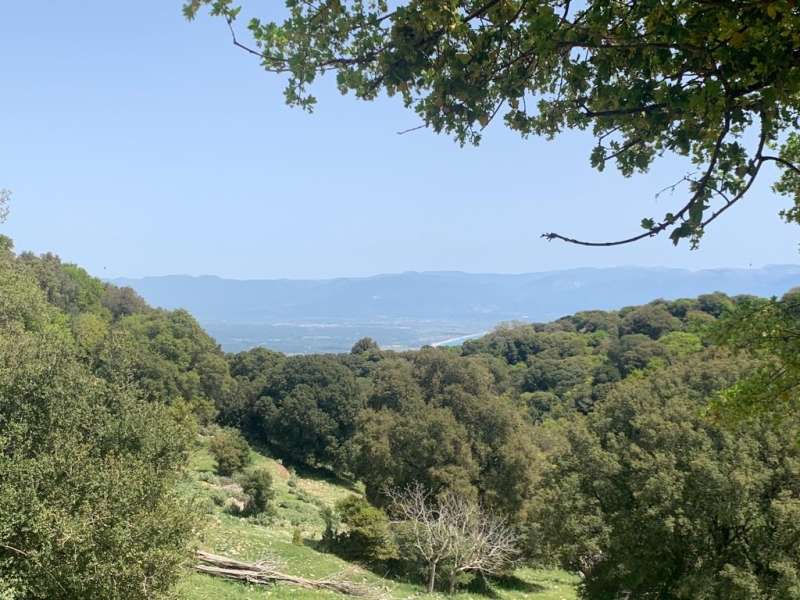IMG-20220416-WA0019