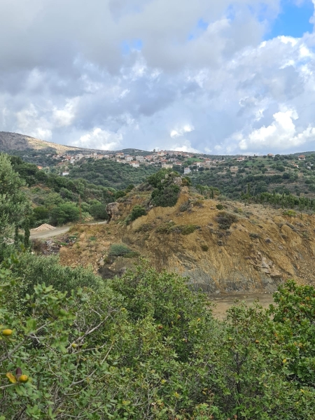 IMG-20221119-WA0015