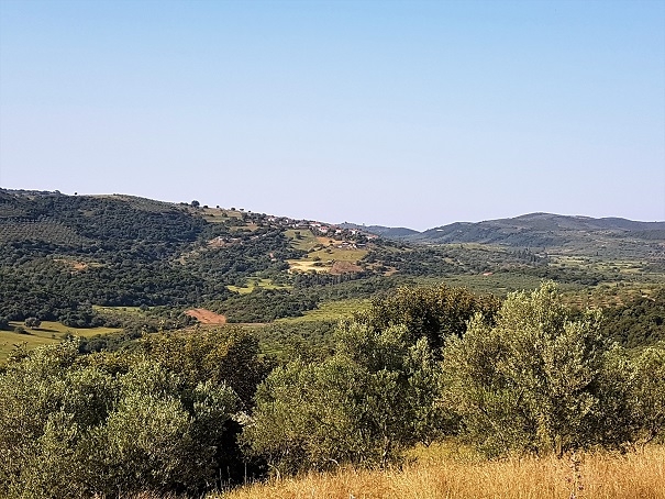 Vlaseika-Anatoliki-Militsa