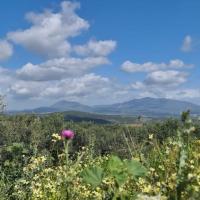 Img 20220402 Wa0026