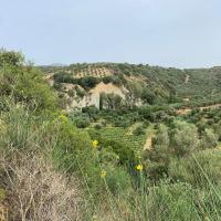 18-05-2024-Evangelismos and surroundings