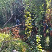 Img 20240907 Wa0070