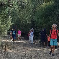 Img 20241102 Wa0007