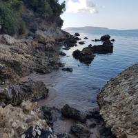 Img 20241102 Wa0056