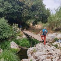 Week 24 5
