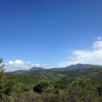 Week 24 6