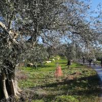 03 01 2018 Walk From Wills House 2