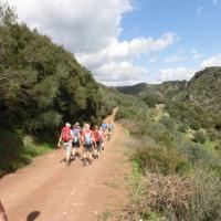 Neromilos Dara 3