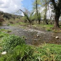 Neromilos Dara 8