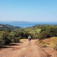 25 04 2018 Kaplani Zizani Kaplani