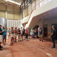 02 05 2018 Pyrgosandnestorwineryc43