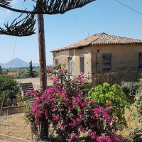 02 06 2018 Romanos Korifasi C40