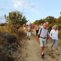 20 06 2018 Midsummereveningwalk C06
