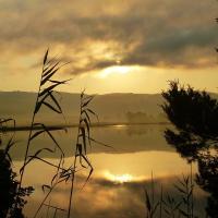 01 08 2018 Earlybird Divari Lagoon C2a