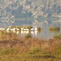01 08 2018 Earlybird Divari Lagoon D1