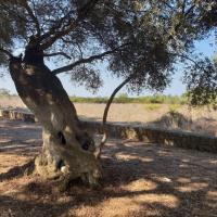 15 09 2018 Evangelismos Ripena 10