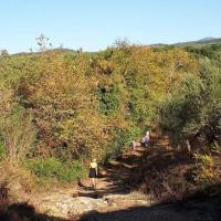10-10-2018-Walk-to-Exochiko