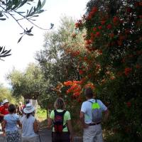 13 10 2018 Ag Triada Beach 2