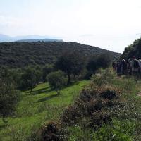 07 11 2018 Methoni Kokkinia E