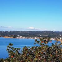 19-12-2018 Loutsa Kaplani Loutsa