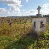 22 12 2018 Militsa Kato Ampelokipi C23