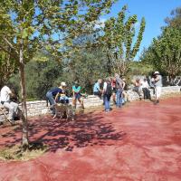 22 04 2017 Neromilos 9