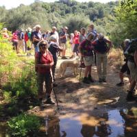 26 04 2017 Walk From Zizani 2