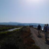 28 06 2017 Early Bird Walk 25
