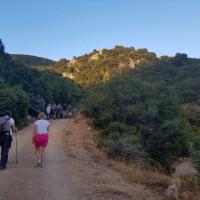26 07 2017 Evening Walk Kokkino L