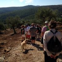 27 09 2017 Walk From Vlaseika 8