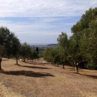 04 10 2017 Walk Near Methoni 4