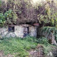 08 10 2017 Dimitsana 33