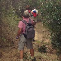 11 10 2017 Walk And Work 9