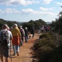 25 11 2017 Walk From Mesochoriimg 20171125 1136561046