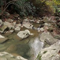 29 11 2017 Walk From Chomatero 8