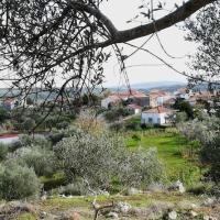 06-12-2017 from Kalithea