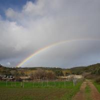 30-12-2017 To Evangelismos and Yiapapi