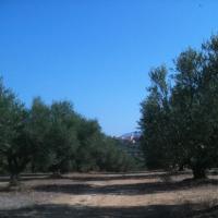 15-09-2016 Walk from Finiki