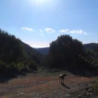 Circular Walk Yamia Chrisokellaria 6