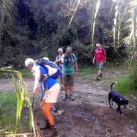 26 Okt 2016 Episkopi Kafou Vigla Chari 6