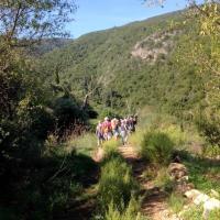 26 Okt 2016 Episkopi Kafou Vigla Chari 9