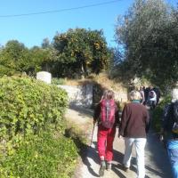 02 01 2019 Koroni Harokopio M03