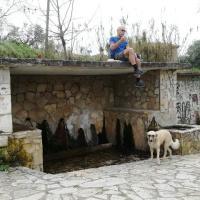 06 03 2019 Pila Balodimeika Stenosia W01