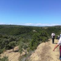 08 05 2019 Finiki Valleywalk M09