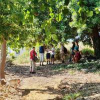 03 07 2019 Agios Andreas K07