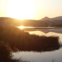 04-09-2019-Again-early-birds-around-the-Lagoon