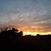 11-09-2019-Evening walk-from-Finiki