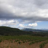 Chandrinou8