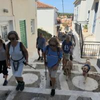 09 10 2019 Harokopio Koroni24